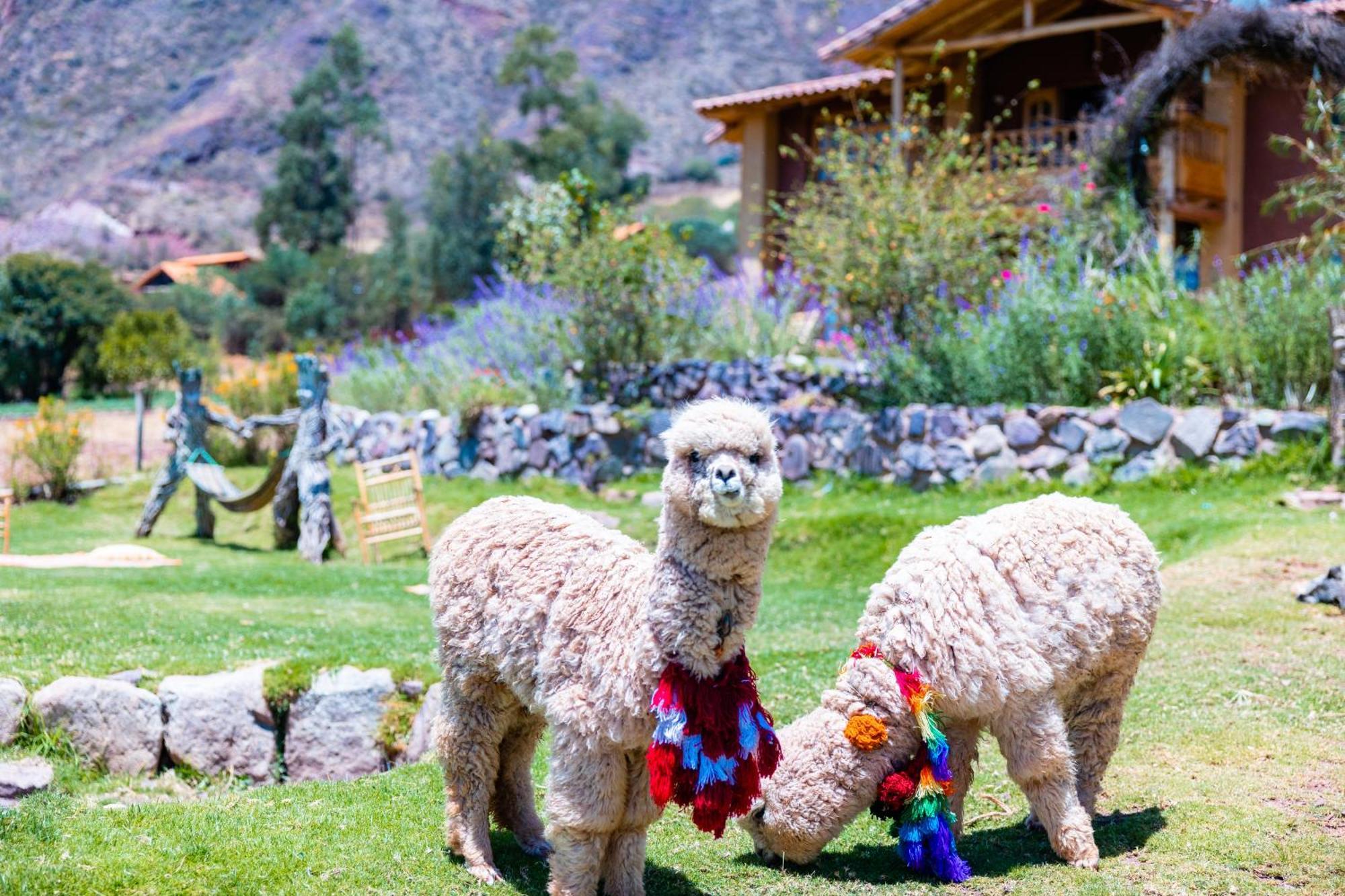 Inkasaire Boutique Lodge Urubamba Exterior foto